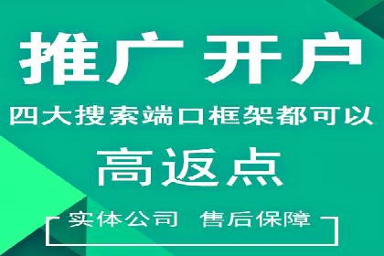 案例解读：竞价广告创意策划